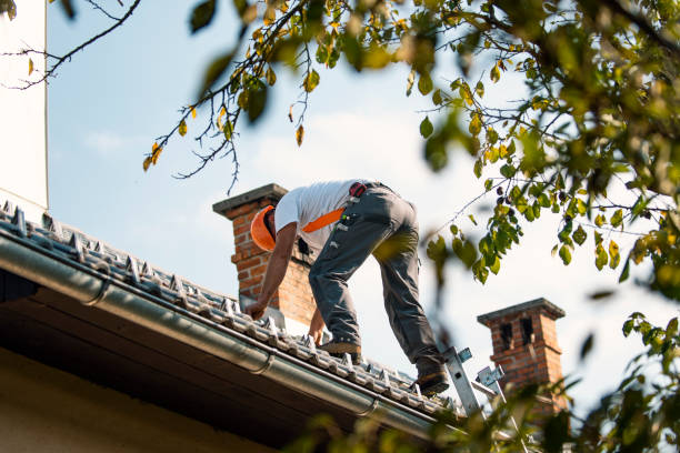 Best Roof Gutter Cleaning  in Portola Valley, CA